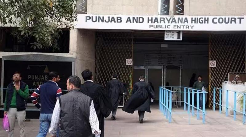 Punjab Haryana High Court 