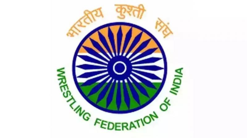 indian wrestling federation indian wrestling federation