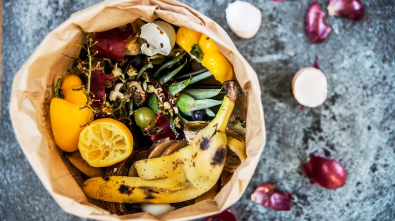 Vegetable Peels Vegetable Peels