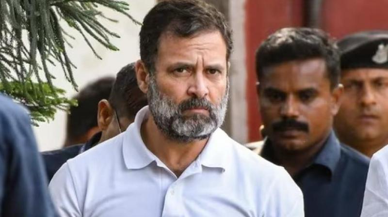 Rahul Gandhi Rahul Gandhi