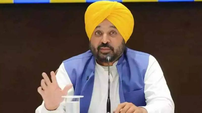 Use of only green firecrackers on Diwali in Punjab: Government has taken a decision Use of only green firecrackers on Diwali in Punjab: Government has taken a decision