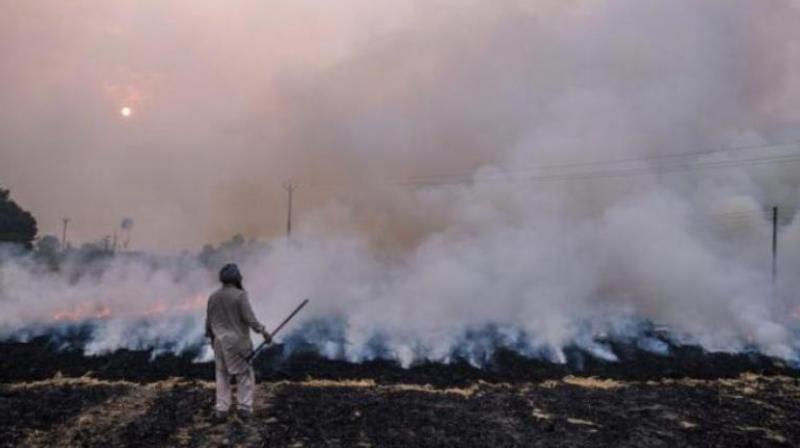 Stubble burning Stubble burning