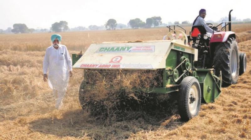Centre allots Rs 600 crore to state govts for paddy straw management Centre allots Rs 600 crore to state govts for paddy straw management
