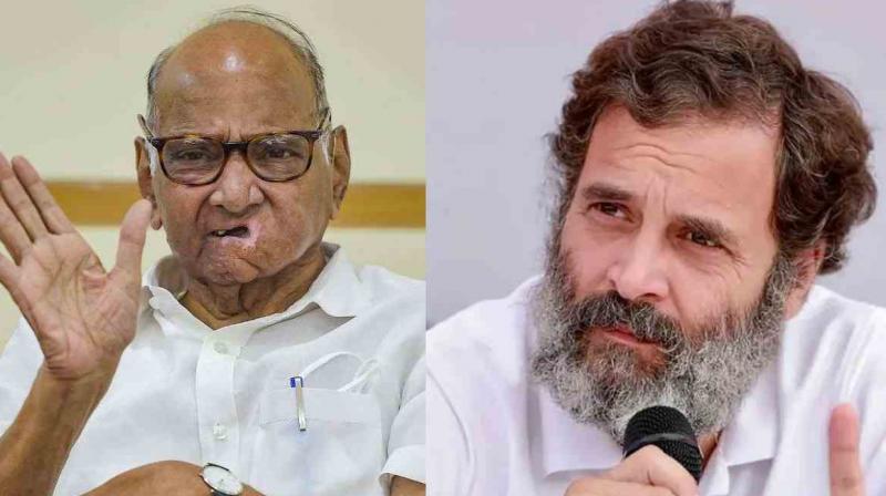 Rahul Gandhi will lead country someday: Sharad Pawar Rahul Gandhi will lead country someday: Sharad Pawar