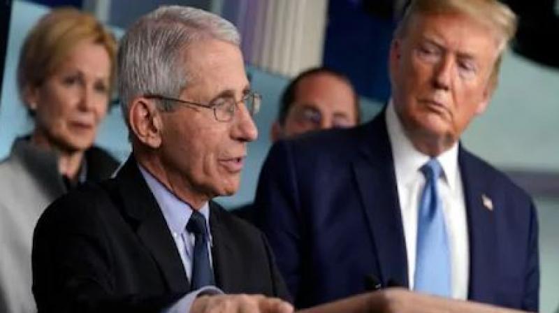 America a drug can block the corona virus says dr fauci in america