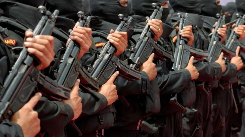 nsg in jammu kashmir nsg in jammu kashmir