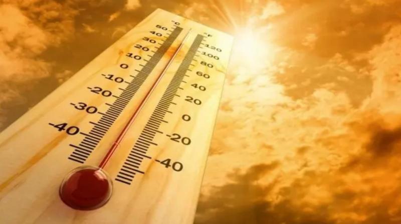 Punjab Weather Update News Punjab Weather Update News