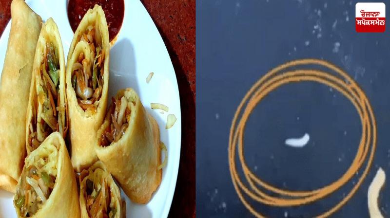 Spring roll eaters beware, a live worm came out of the spring roll Spring roll eaters beware, a live worm came out of the spring roll