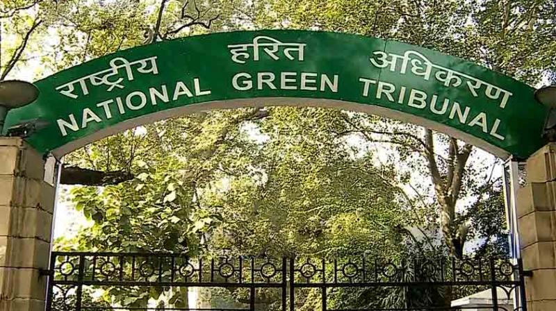 NGT NGT