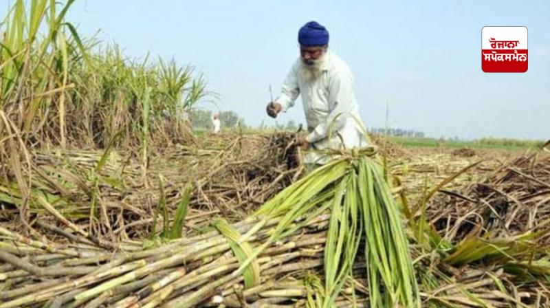  ਕੇਂਦਰ ਸਰਕਾਰ ਨੇ ਗੰਨੇ ਦਾ ਵਾਜਬ ਤੇ ਲਾਭਕਾਰੀ ਮੁੱਲ 15 ਰੁਪਏ ਵਧਾ ਕੇ 355 ਰੁਪਏ ਪ੍ਰਤੀ ਕੁਇੰਟਲ ਕੀਤਾ