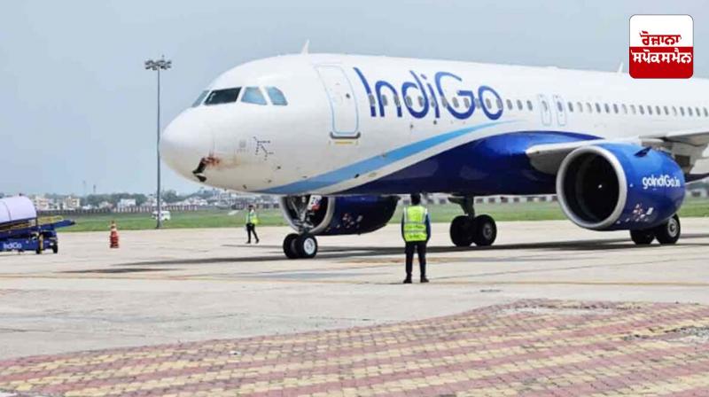 Vulture collides with IndiGo plane at 4000 feet, emergency landing made at Ranchi airport Vulture collides with IndiGo plane at 4000 feet, emergency landing made at Ranchi airport