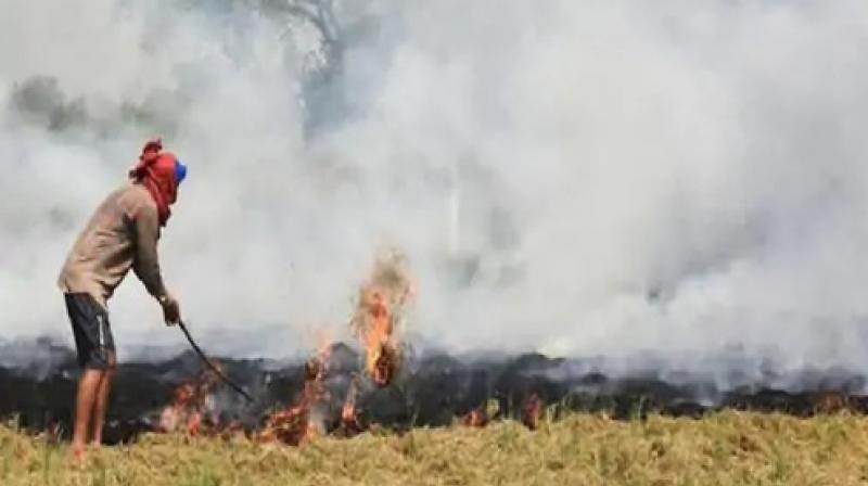 Pollution increased in Punjab before Diwali Pollution increased in Punjab before Diwali