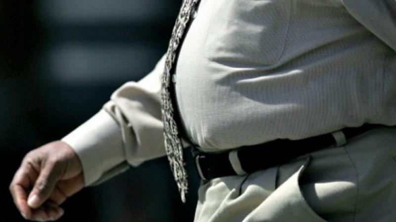 Belly Fat Belly Fat
