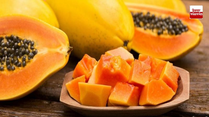 Eat papaya on an empty stomach in the morning to cure lung infection, there will be many benefits Eat papaya on an empty stomach in the morning to cure lung infection, there will be many benefits