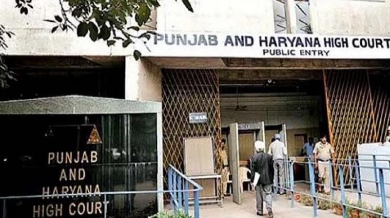 Punjab & Haryana High Court Punjab & Haryana High Court