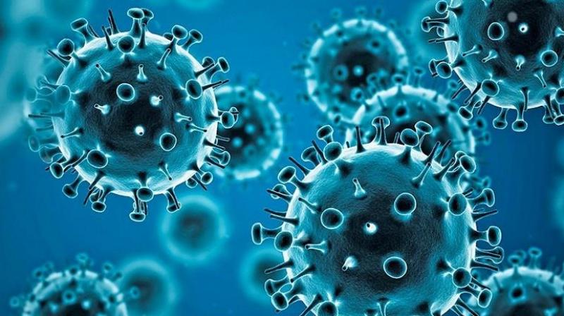 Corona Virus Corona Virus