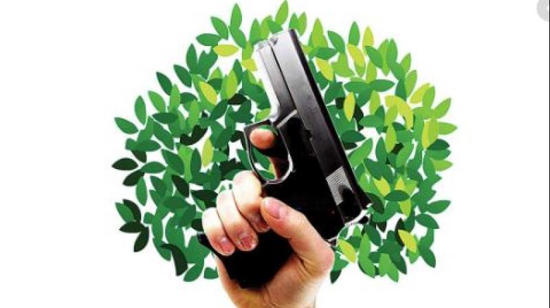 Tress for Gun Tress for Gun