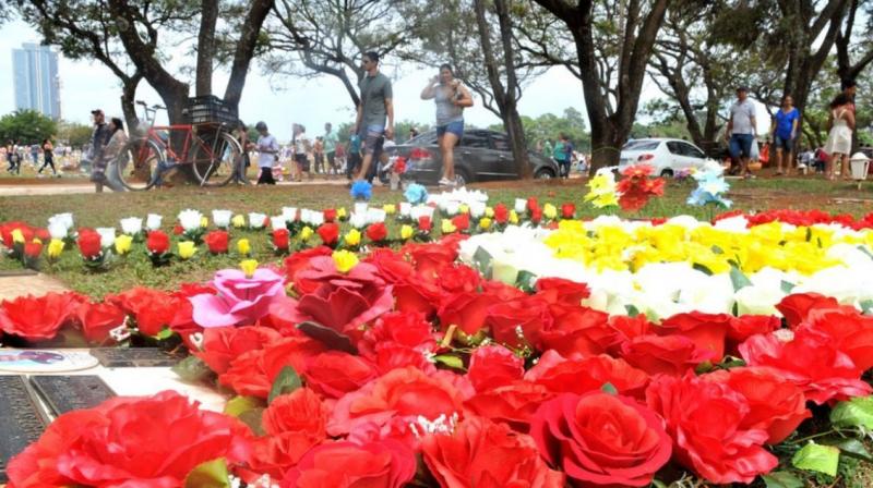 Rose Festival Rose Festival