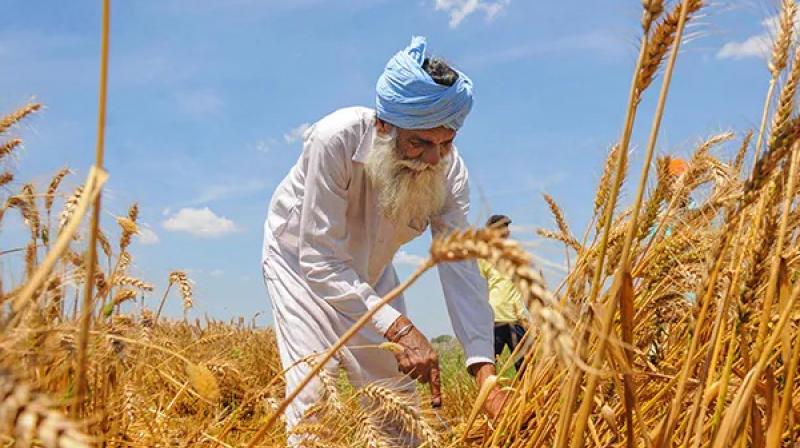 Farmers Farmers