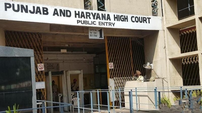 High Court order on the interview of gangster Bishnoi, file an FIR High Court order on the interview of gangster Bishnoi, file an FIR