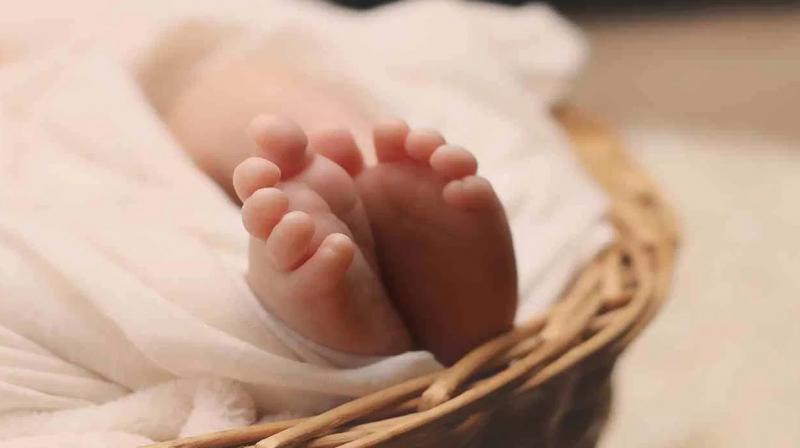 newborn baby newborn baby