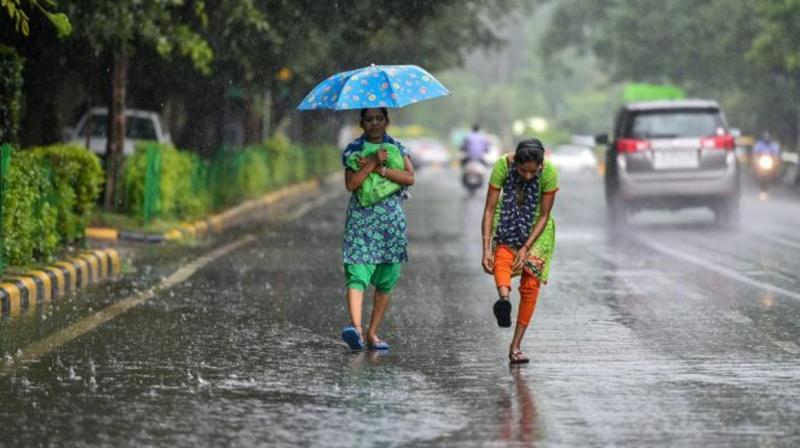 Rain Rain