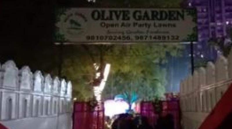 Olive Garden Olive Garden