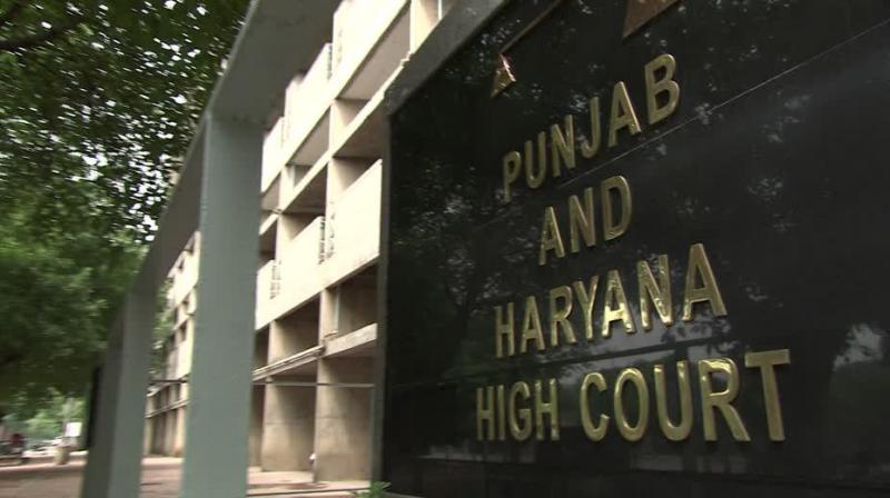 Pb & Haryana High Court 