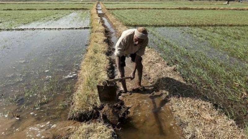 Modi government send 60 thousand crore rupee in farmers bank account Modi government send 60 thousand crore rupee in farmers bank account