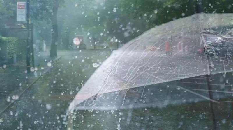 Monsoon Monsoon