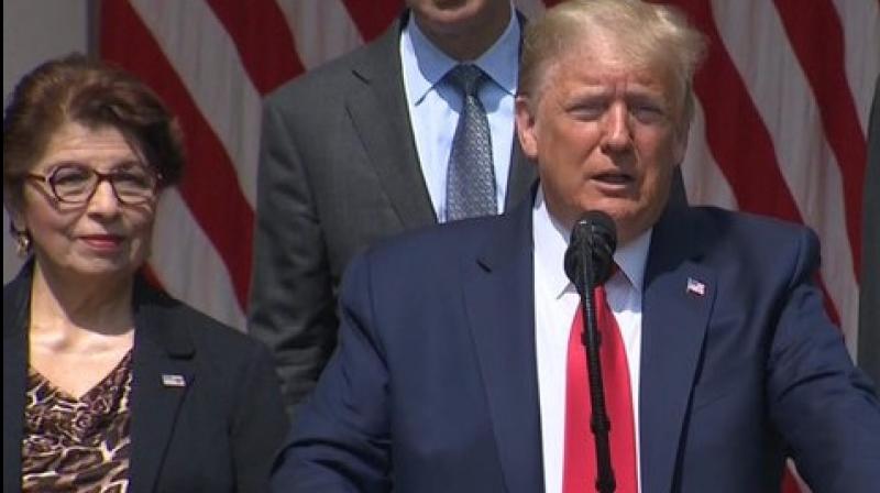 trump trump