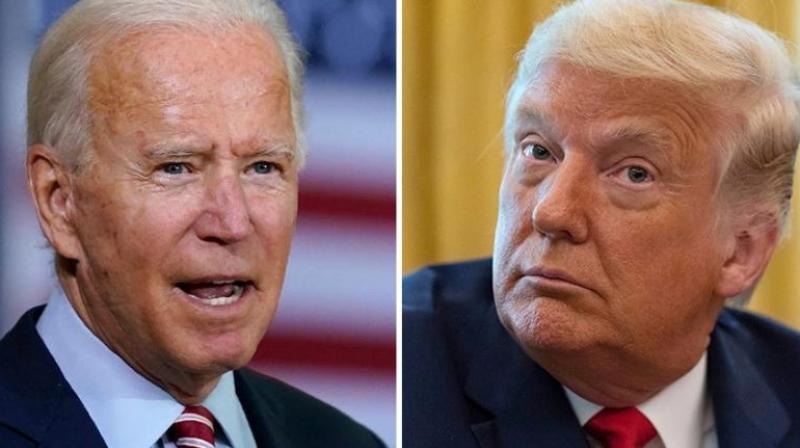 trump biden