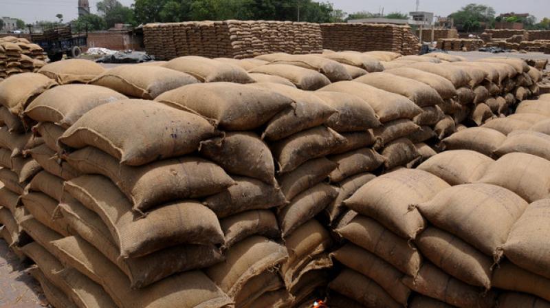 Grain storage in punjab 