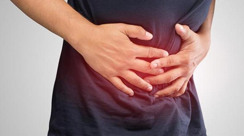 Stomach Stomach