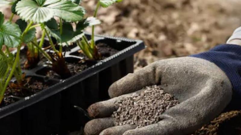 Corona virus lock down iffco fertiliser distribution among farmers Corona virus lock down iffco fertiliser distribution among farmers