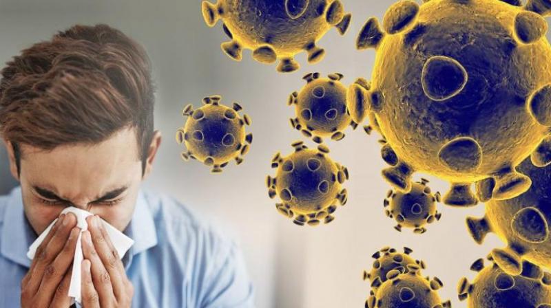 corona virus corona virus