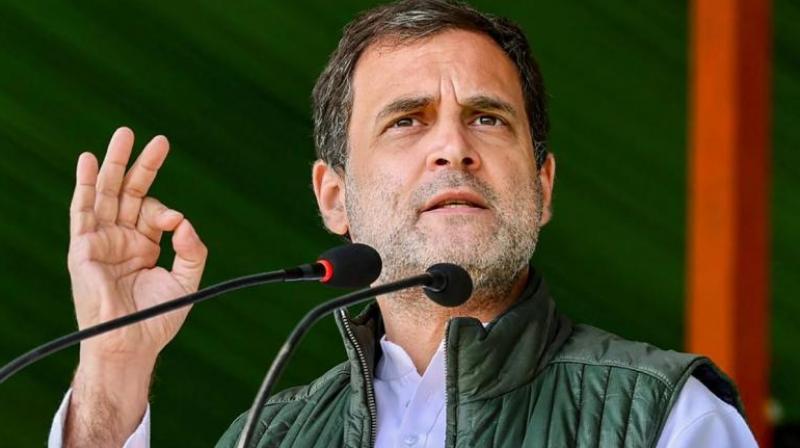 Rahul Gandhi Rahul Gandhi