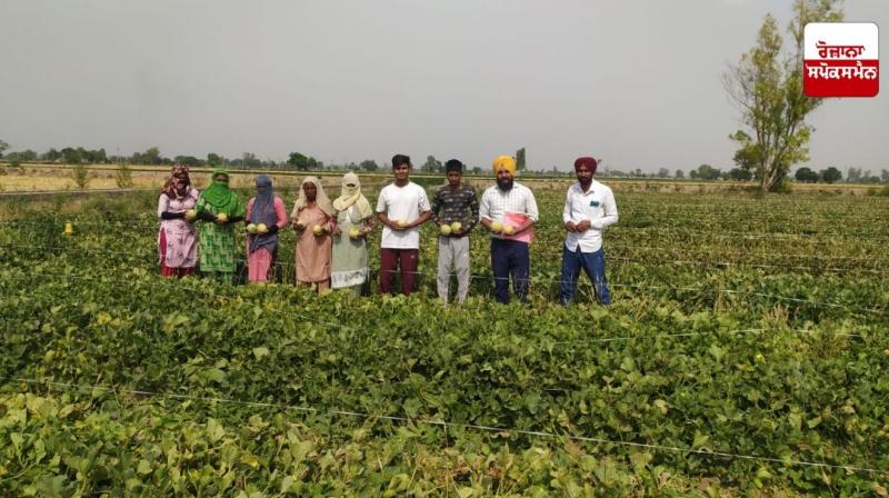 Cultivation of out-of-season vegetables can be beneficial Cultivation of out-of-season vegetables can be beneficial