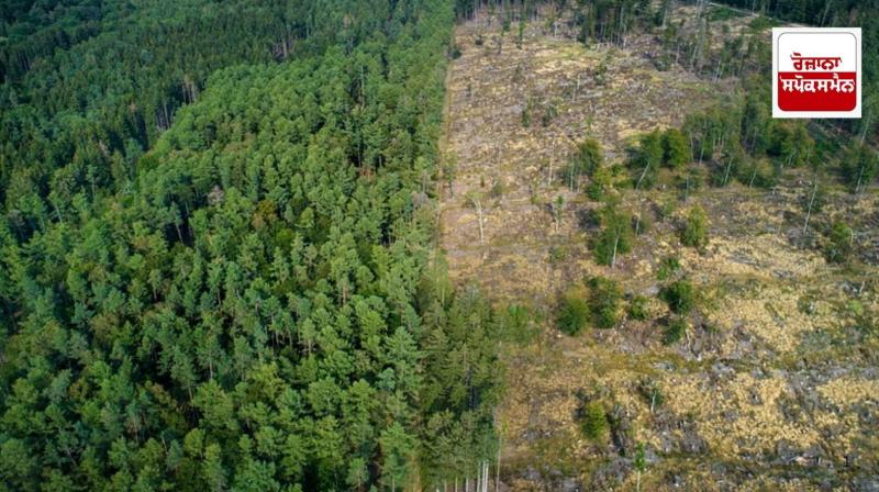 Encroachment of 13056 sq km forest area in 25 states including Punjab and Chandigarh Encroachment of 13056 sq km forest area in 25 states including Punjab and Chandigarh