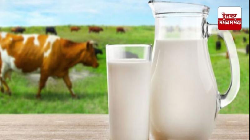 Health News Health News