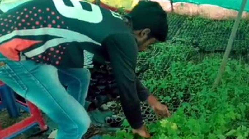 Organic Farming Organic Farming