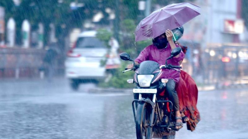 Rain Rain