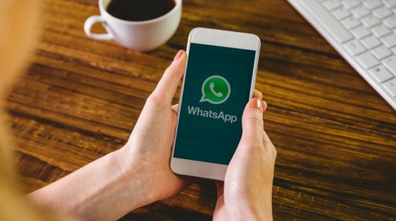 WhatsApp User 