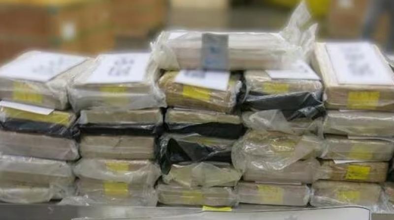 Brampton truck driver charged for transport cocaine worth $4.86 million into Canada Brampton truck driver charged for transport cocaine worth $4.86 million into Canada