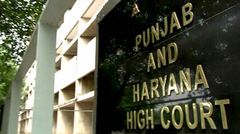 Punjab & Haryana High Court Punjab & Haryana High Court