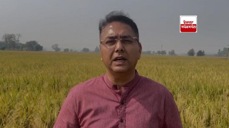 Cabinet Minister Aman Arora Cabinet Minister Aman Arora