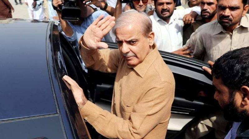 Shahbaz Sharif 