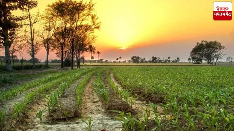 Punjab Weather Update