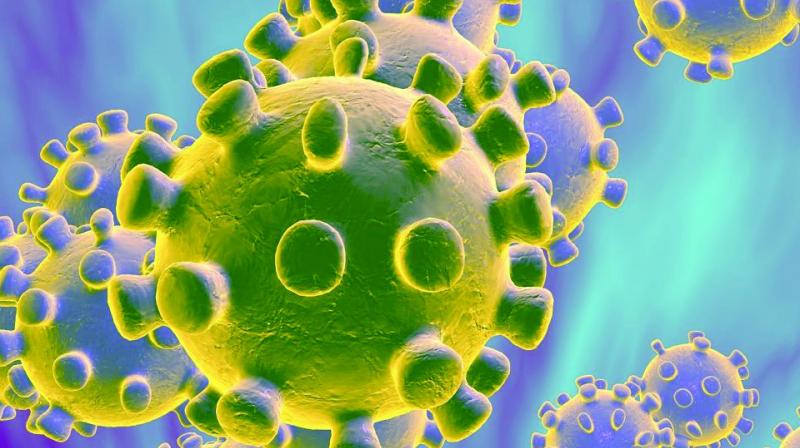 coronavirus coronavirus
