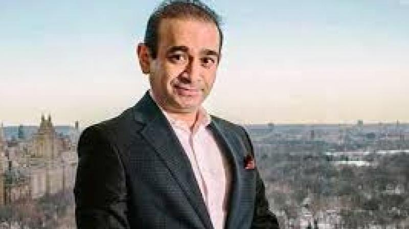 nirav modi